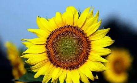 恐伤肾是什么原因有什么严重后果,恐伤肾有什么预兆