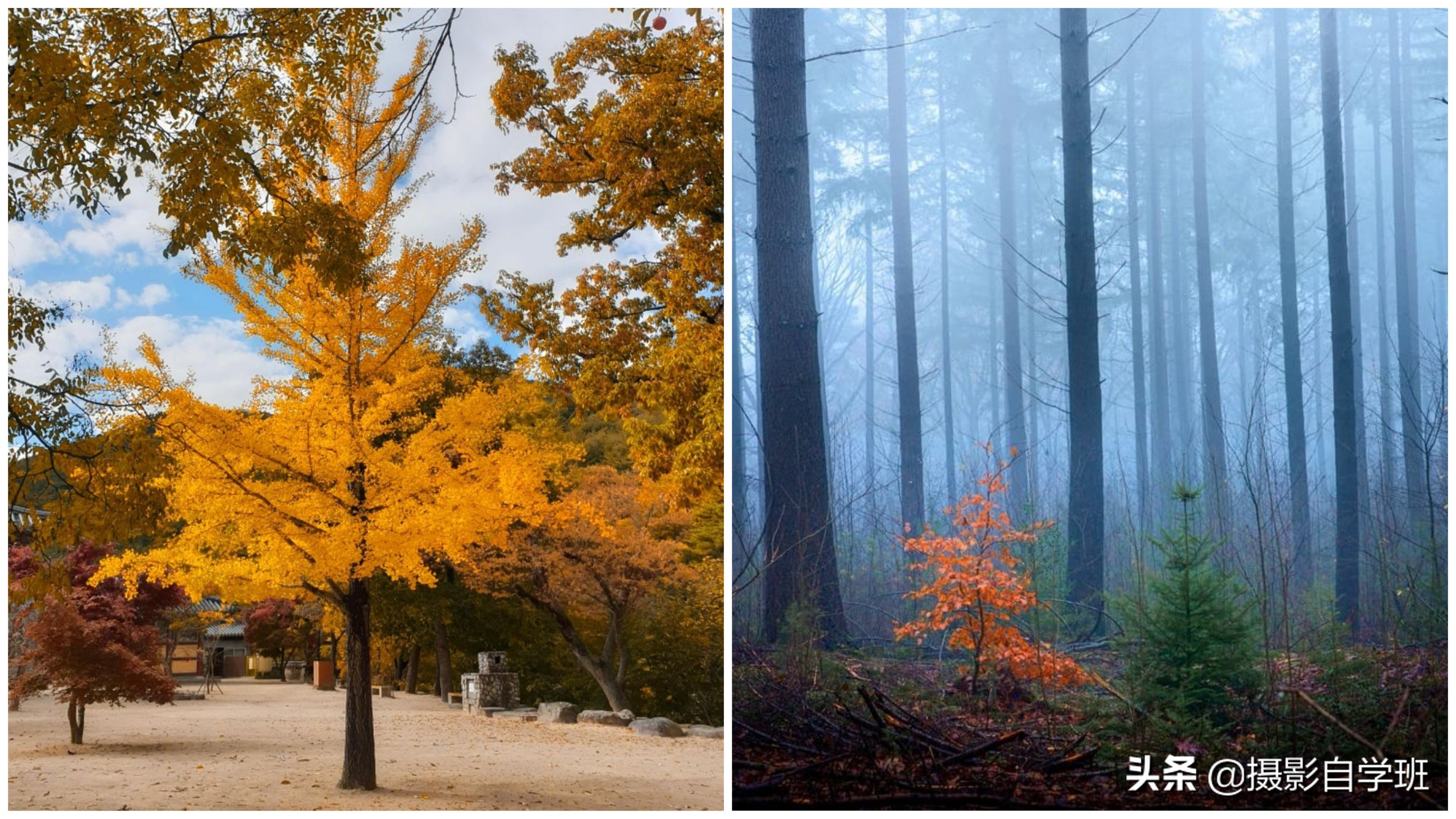 风光摄影作品拍摄的技巧有哪些,风光摄影必学的10个拍摄技巧