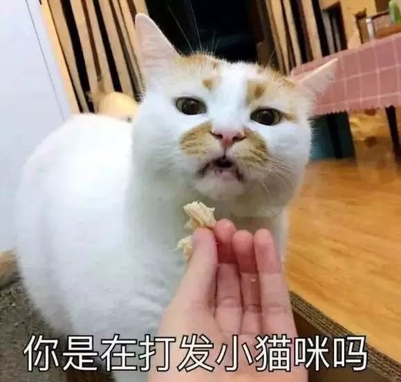 铲屎官必看,猫咪怎么区分软便和硬便