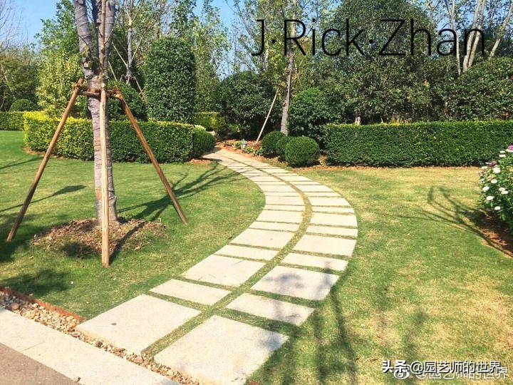 果岭草坪的种植养护方法及技巧,怎么种植一个可以躺的草坪