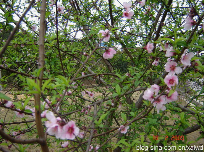 陕西西安旅游景点攻略图,西安旅游景点购票攻略图文