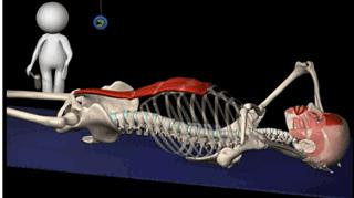 练完腹肌腰痛,为什么练腹肌也会感到腰酸
