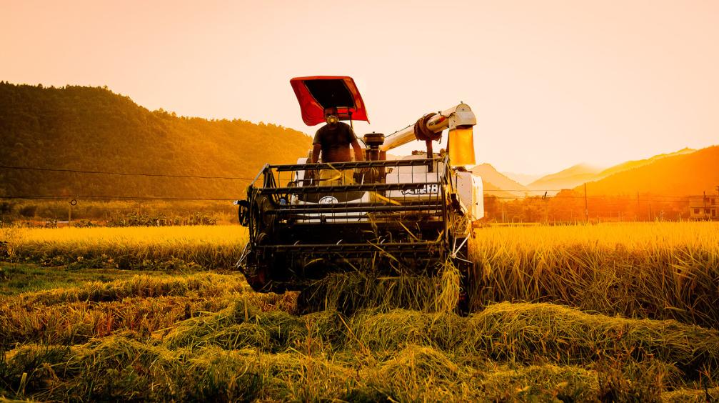 广东最美的小城,广东省最美的城市