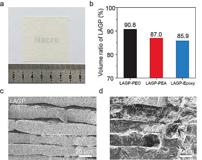 哥伦比亚大学杨远、陈曦团队AM：珍珠层结构电解质，用于可负载固