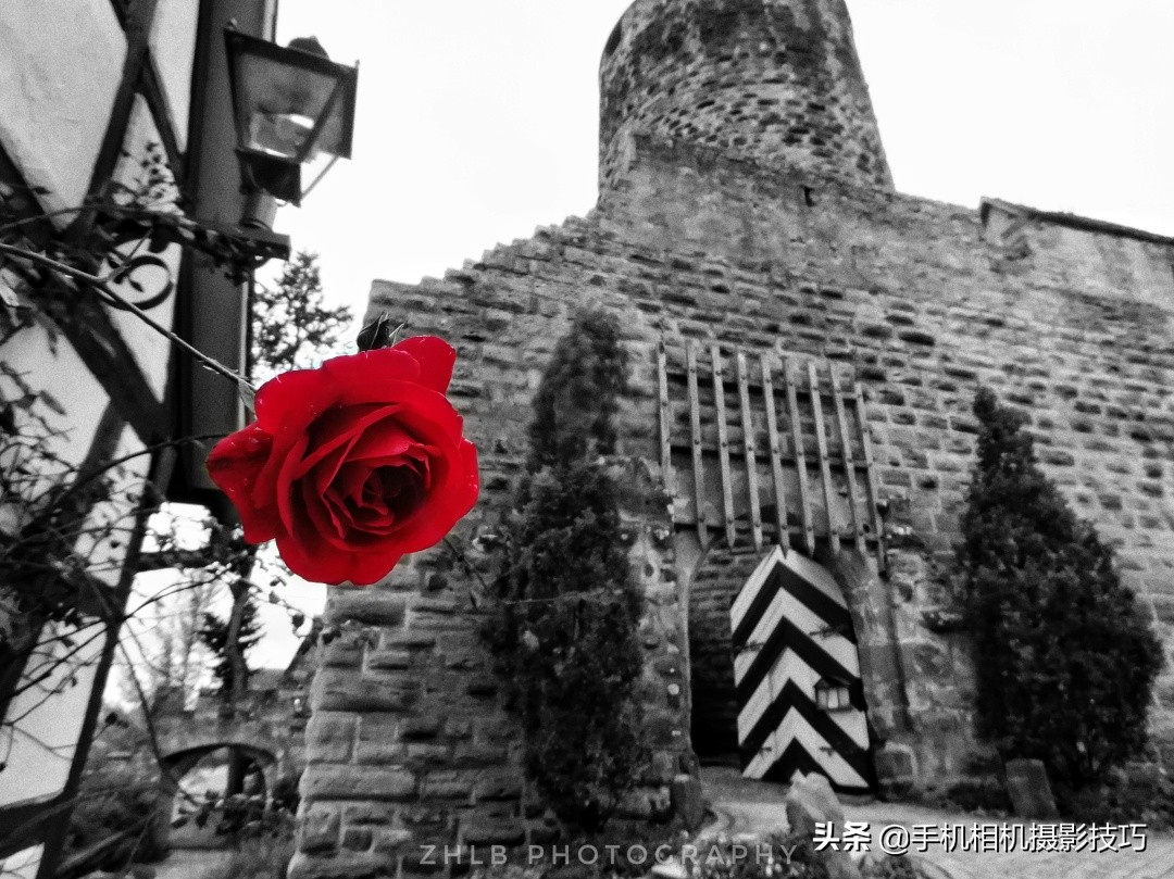 为什么我拍的手机照片老是不清晰,手机如何拍出主体清晰背景模糊