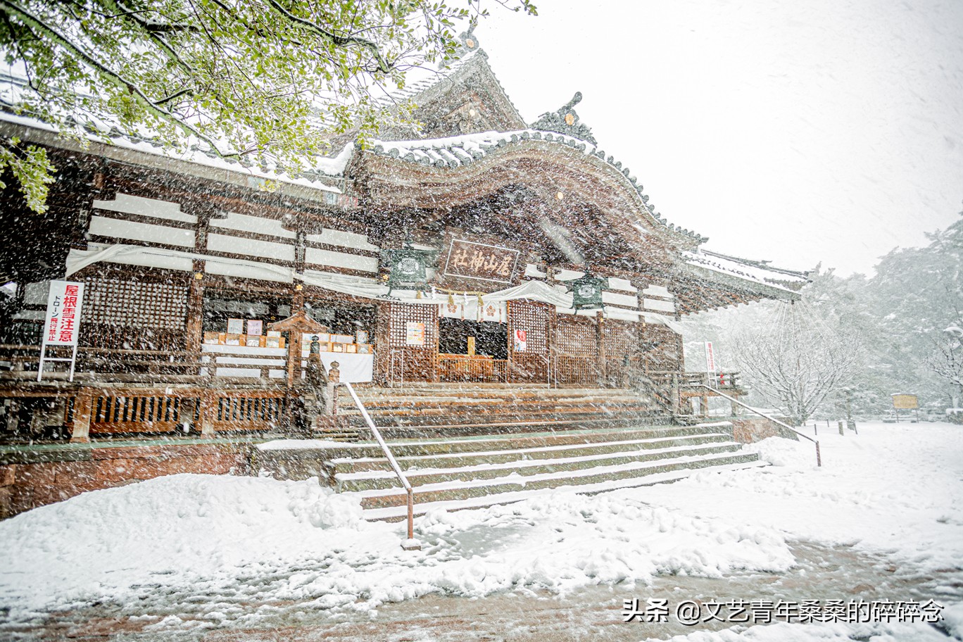 冬季日本的自驾游攻略,冬日游日本名古屋攻略