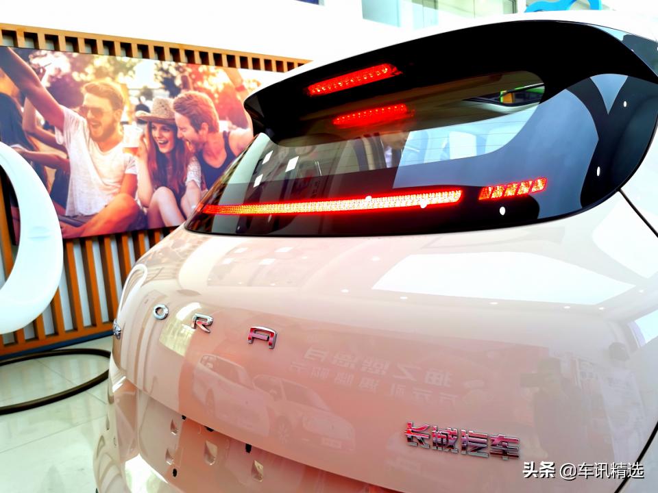 这有一只“好猫”登陆厦门，欢迎来“撸”