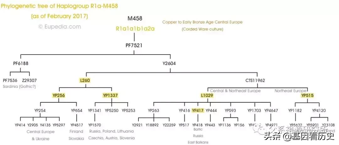 父系R1a人群系列——包括中国的楼兰人