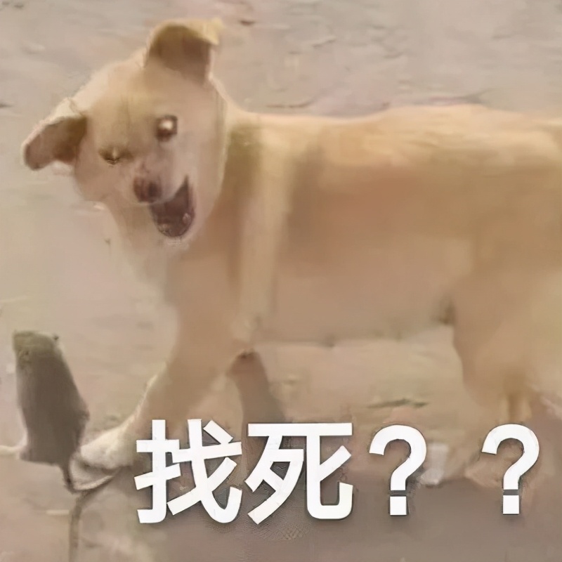 足球界的帅哥合集,足球坛十大帅哥