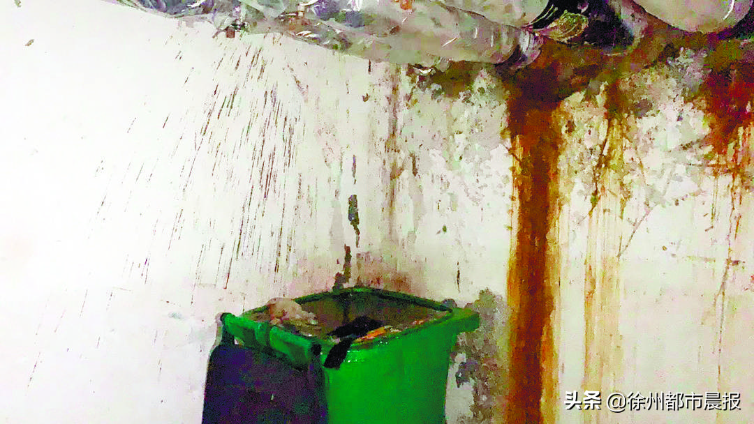 “地下室就像化粪池”！徐州这个小区3天换了3任物业经理，依旧搞不定