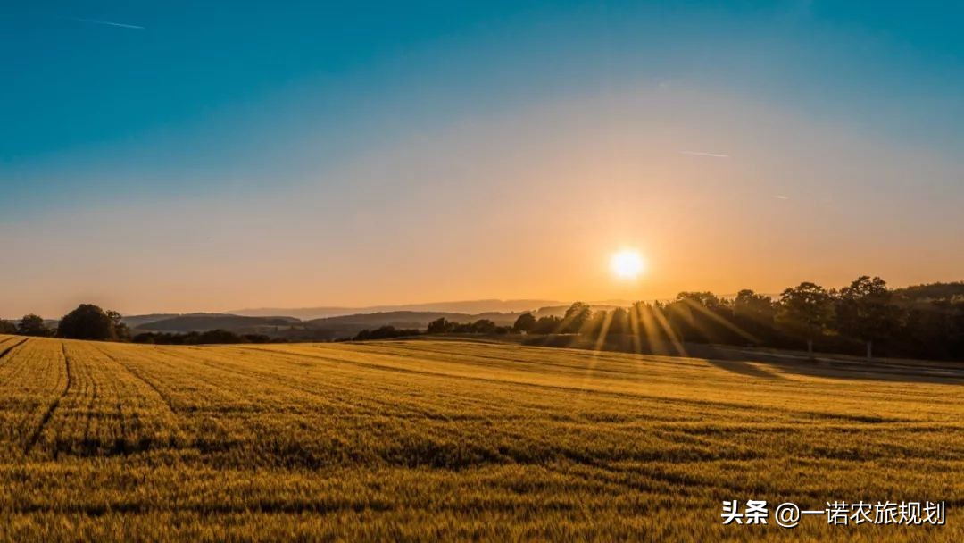 乡村特色产业发展未来展望