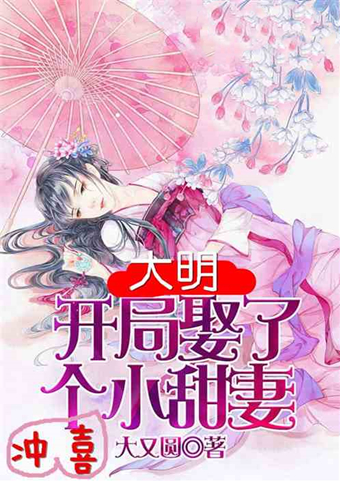 大明王朝推荐文,5本大明王朝历史小说