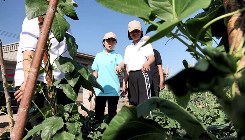 金智惠民学子下乡活动方案,建设银行金智惠民活动持续开展