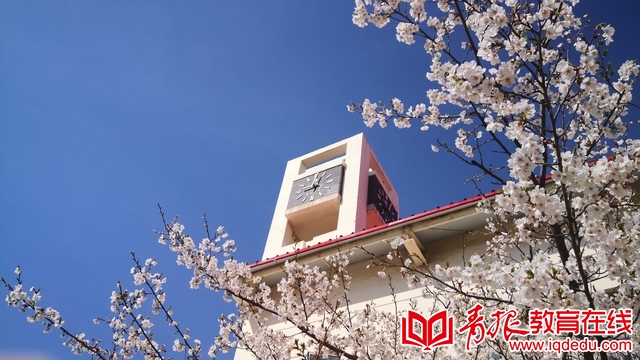 即墨长江路小学好不好,即墨长江路小学和德馨小学对比