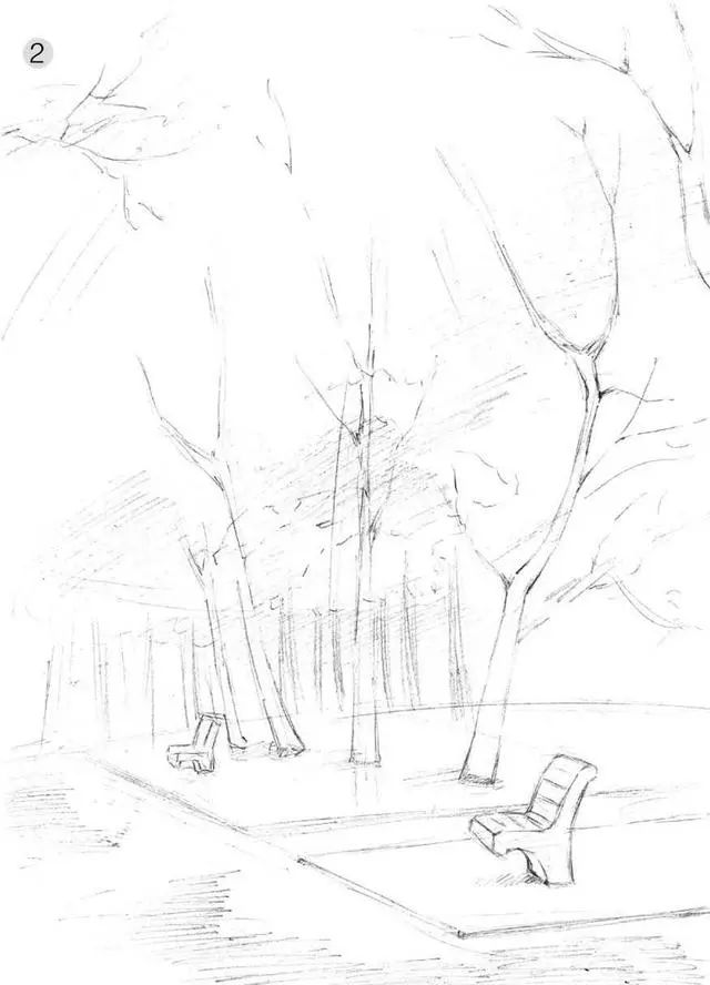 树林的画法简单又漂亮,如何画森林素描画教程