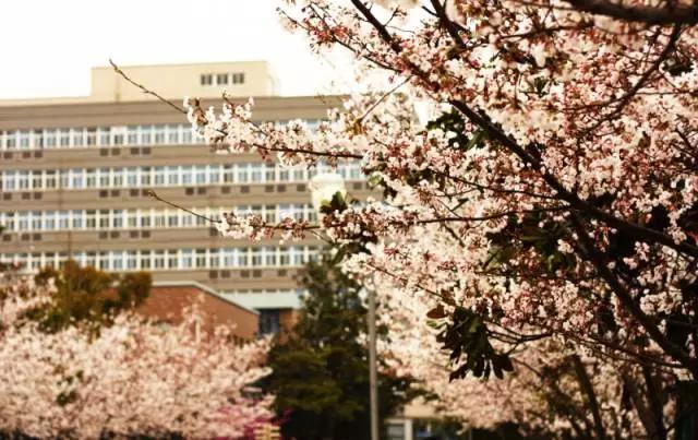 上海的魅力在什么地方,上海十六个区哪个区最好