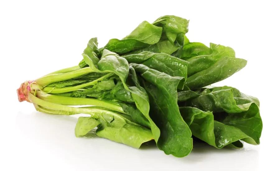 小孩健脾最好运动方式,做什么运动可以健脾养胃