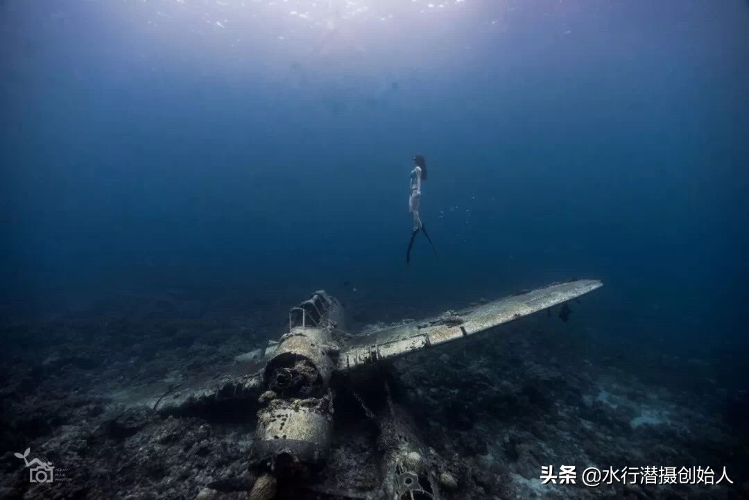 帕劳岛自由行潜水,帕劳水母湖自由潜视频