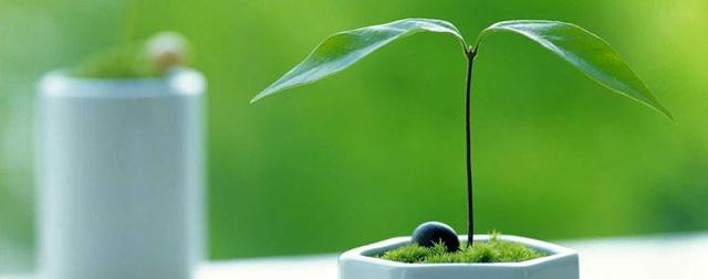 深度解析催眠,深度解读催眠