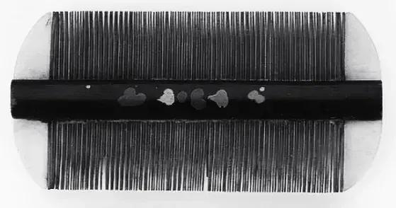 吉林省长春市二十世纪五六七八九十年代十九张家庭珍藏影像（五）