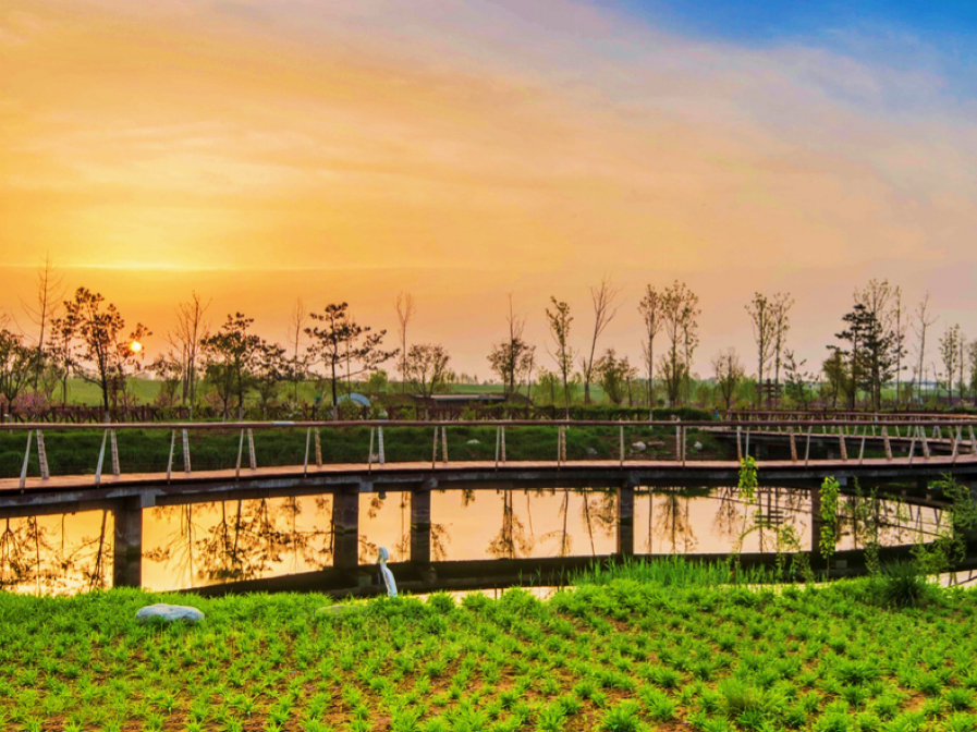 西安最新湿地公园,西安国家湿地公园