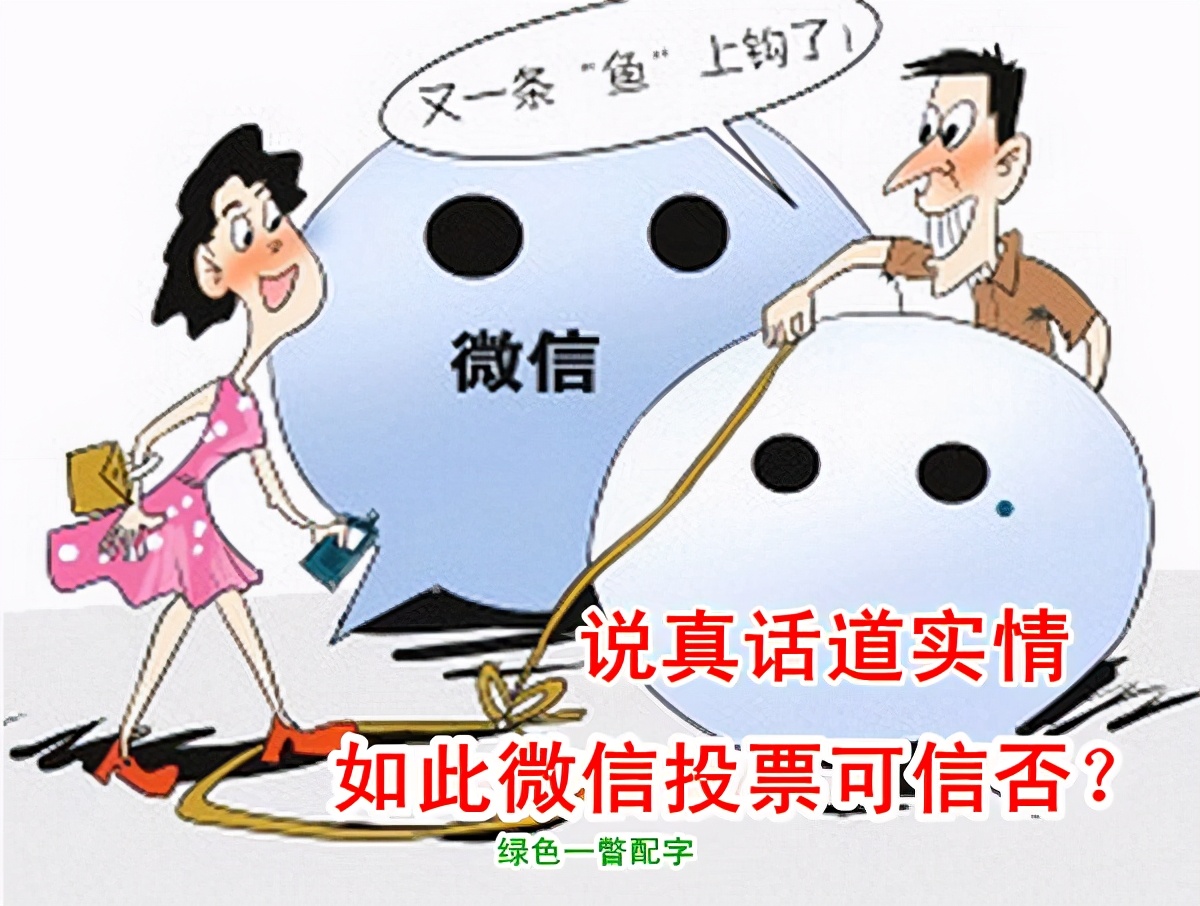 微信投票是否合法合规,微信投票到底是真是假