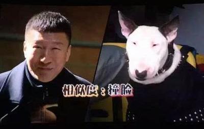 考上中戏但接不到戏,孙红雷考中戏准备了多久