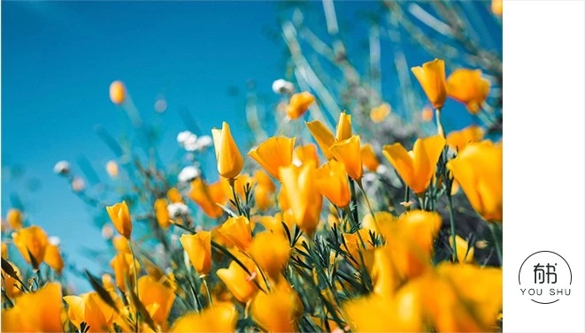 如何评价潘粤明书法作品,董洁妈妈评价潘粤明