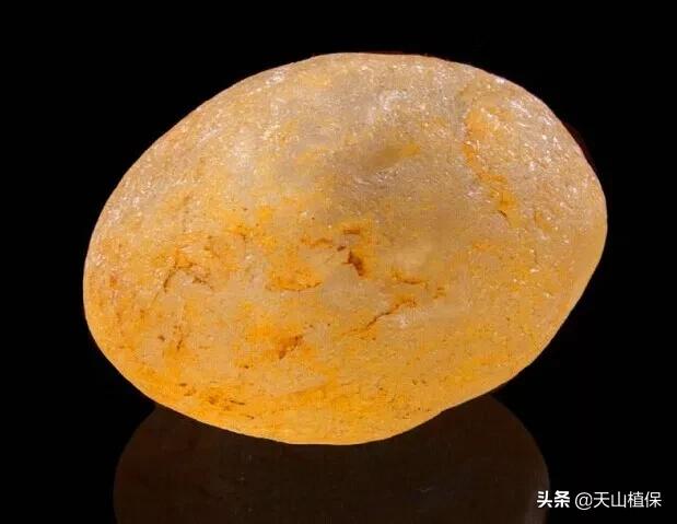 怎么捡到价值极高的石头,捡到一块石头价值千万