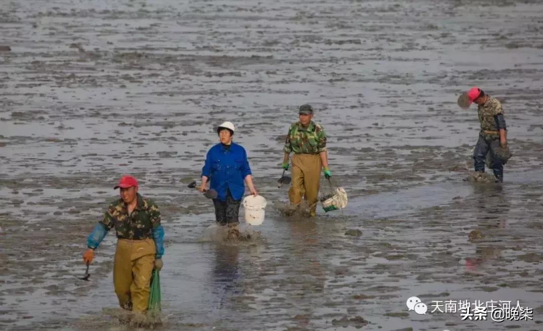 大连庄河赶海排名第一名,庄河赶海网红视频