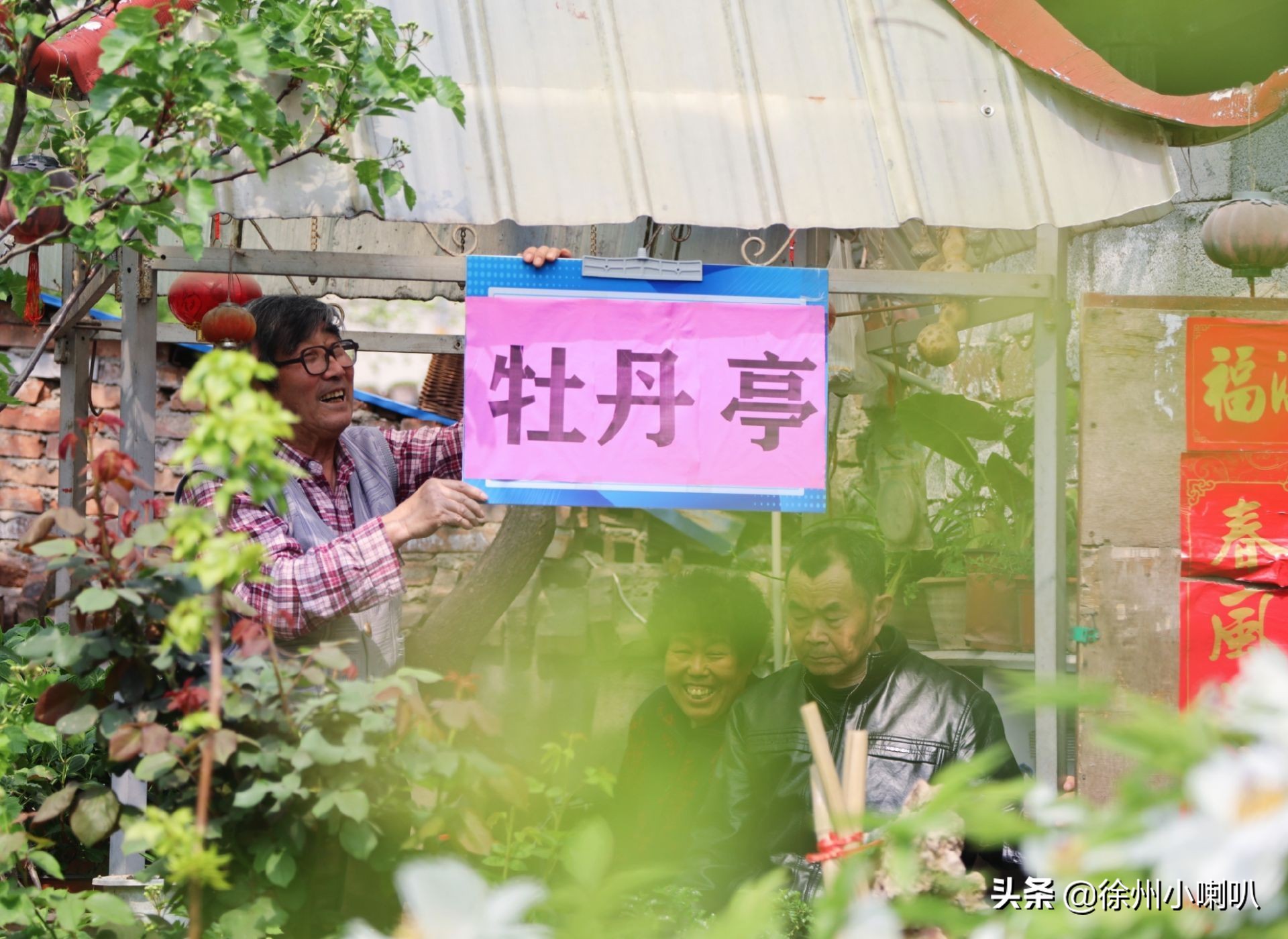 一起养花一起开心一起变老,一起养花种草分享美好