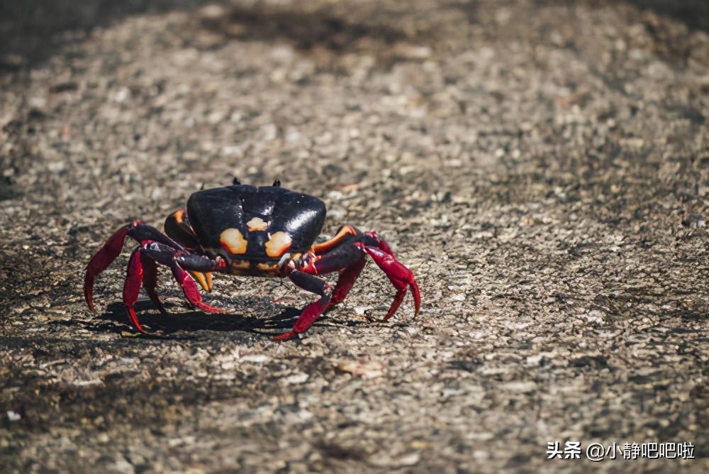 你所不知道的神秘国家古巴,古巴的十个冷知识