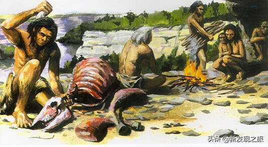 动物简史：从原核生命到人类文明