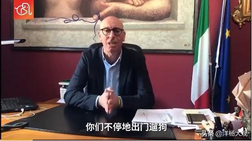 宠物狗出行神器,宠物狗助走器