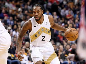 野球场篮球推荐排行榜前十名,盘点球员野球场