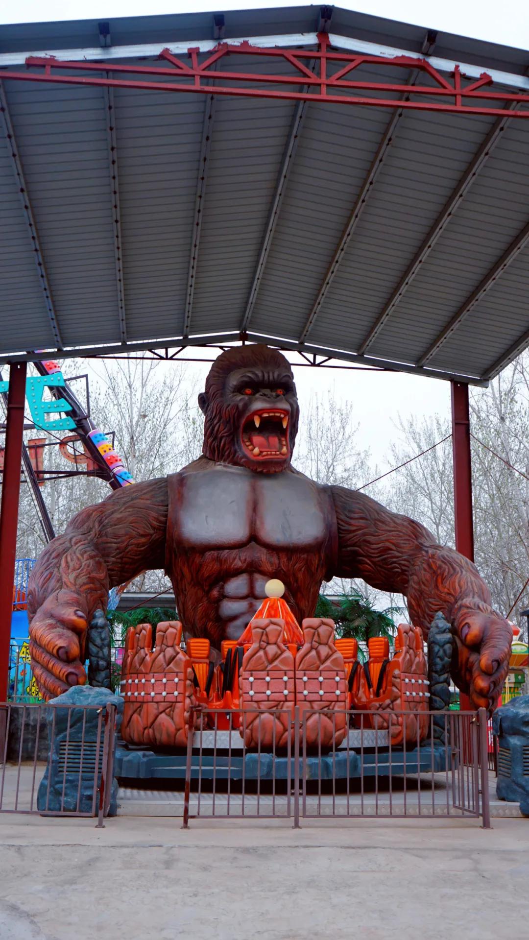 聊城姜堤乐园的门票是多少钱,姜堤乐园玻璃桥