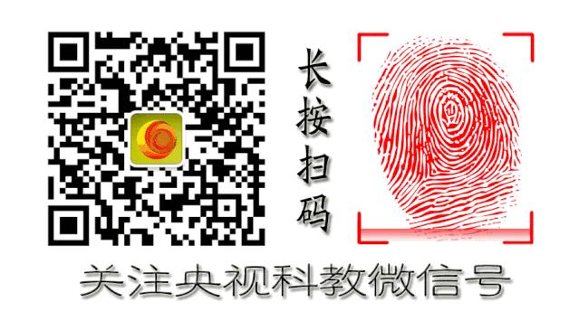 刷牙出血吃水果出血,刷牙出血吃东西出血怎么回事