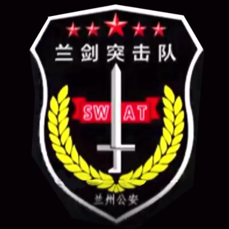 全国各个城市特警队臂章,公安特警帅图