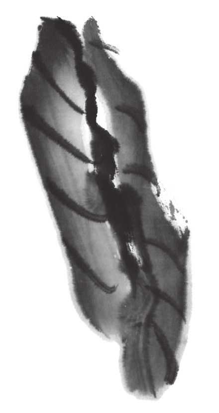 国画刘存惠荷花画法全视频,国画山水画教学视频荷花画法