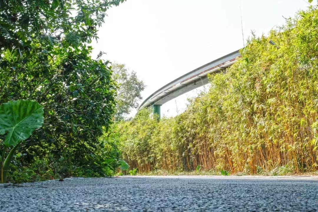 如今的世界之窗,介绍世界之窗