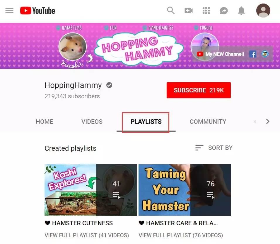 youtubeseo课程,youtube做seo