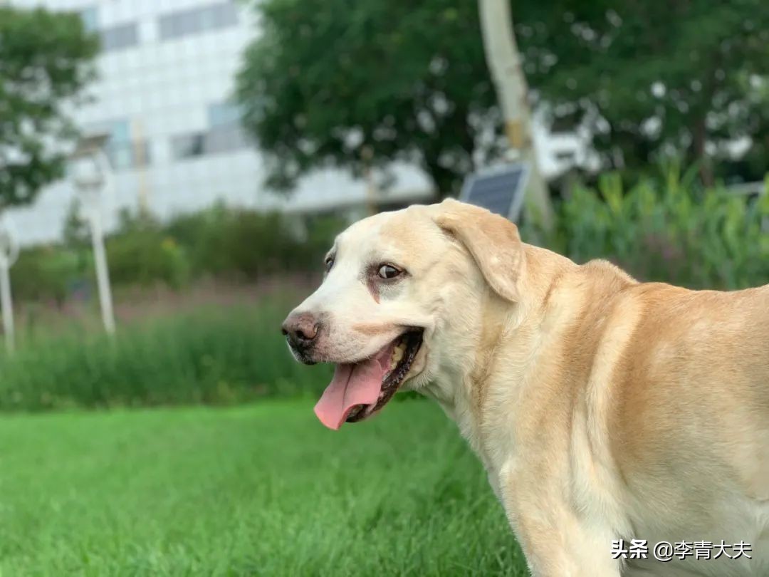 麦扣的家庭,麦扣的质感好物