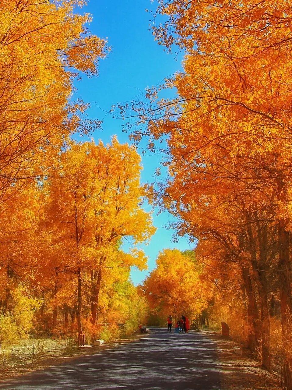 世界一生必去的56个最美的地方,一生必去五十个最美的地方