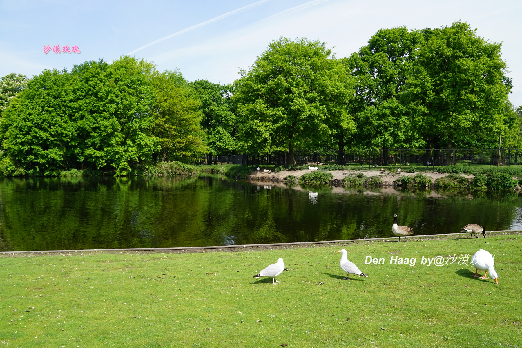 aa制的另一种说法,AA制的意思