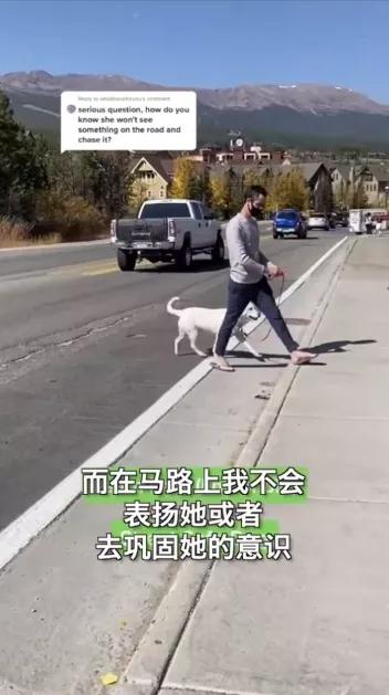 汪星人名字叫什么,汪星人的名字