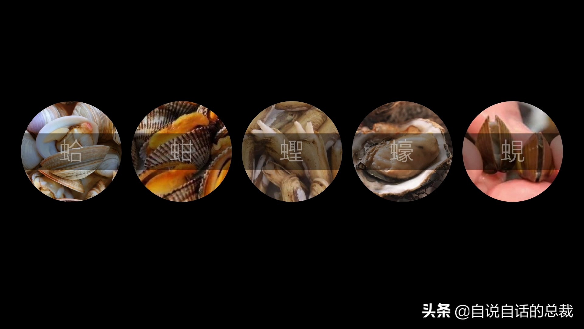 海鲜蛤蜊与蛤蜊区分,蛏子与小人蚬的区别