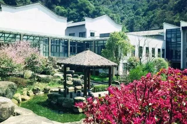 感恩有你砥砺前行大型答谢晚宴,2019感恩有您2020一起迈向新征程