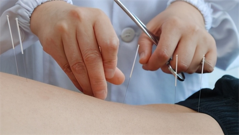 中药专业的未来发展前景,中药学和中医学哪个专业好就业