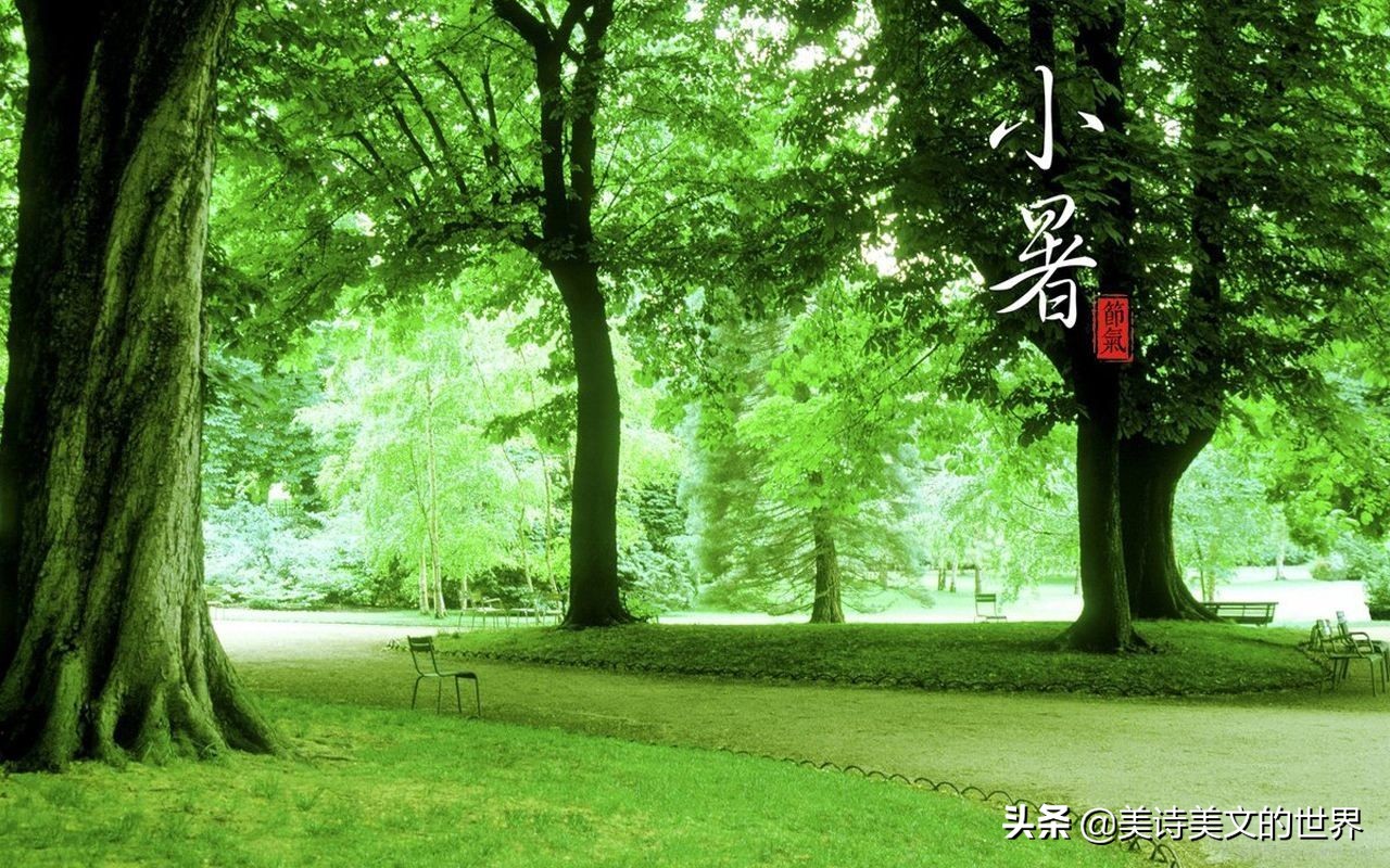 白居易最著名的十首绝句诗词,白居易千古绝句最美的十首诗