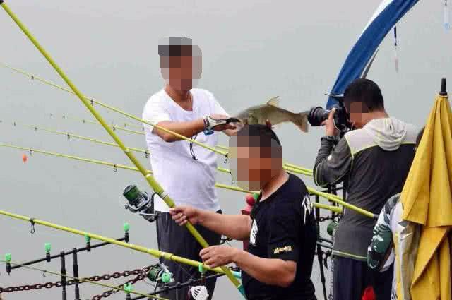 钓鱼鱼饵怎么使用,钓鱼新手三大误区